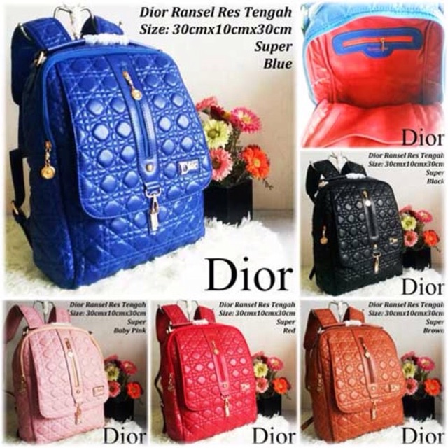 Ransel dior