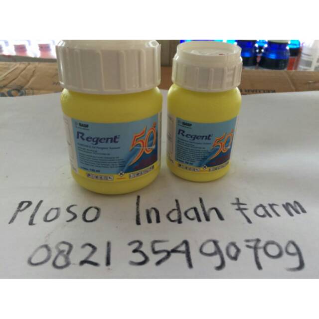 Regent 100ml