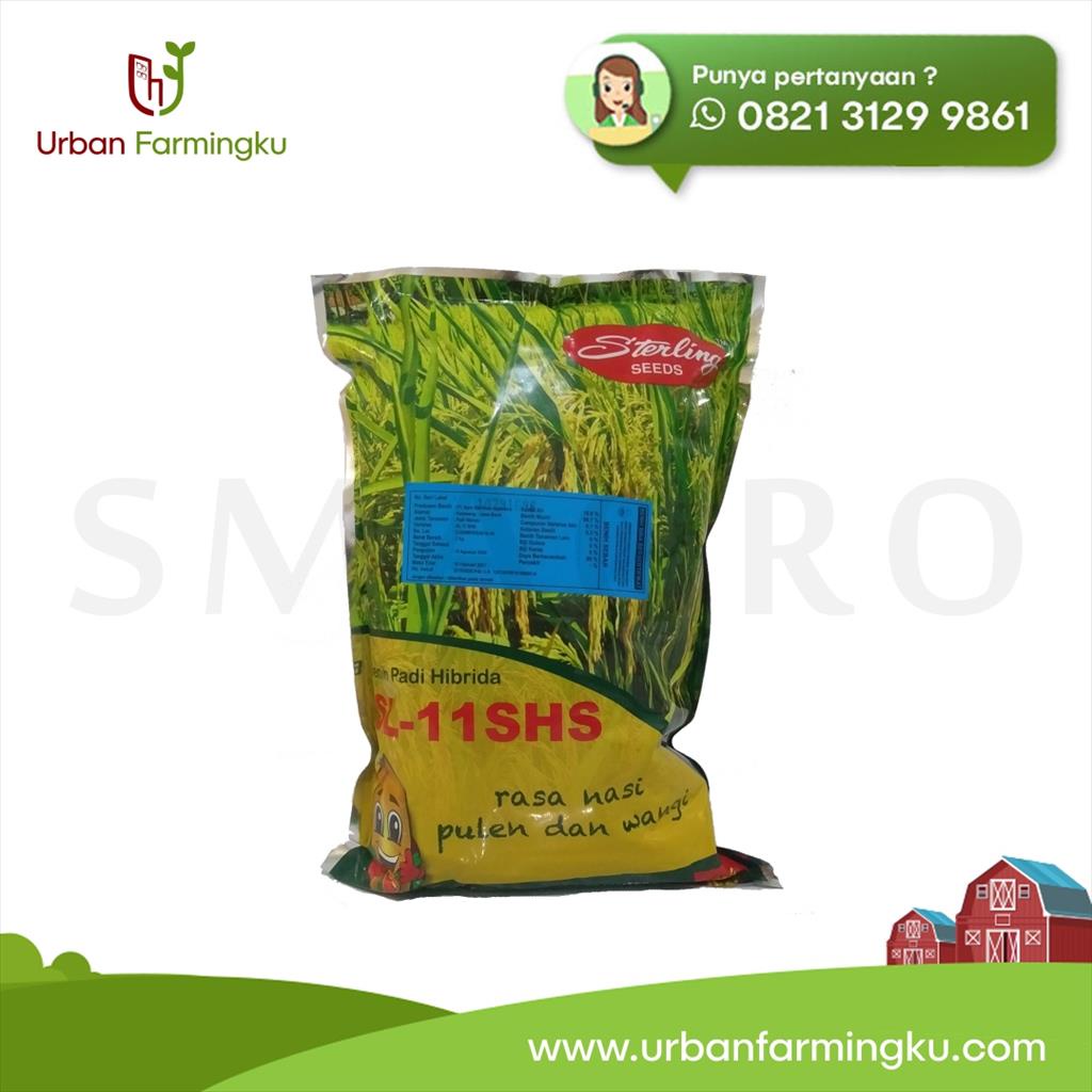 Benih Padi Hibrida SL-11SHS 1 Kg