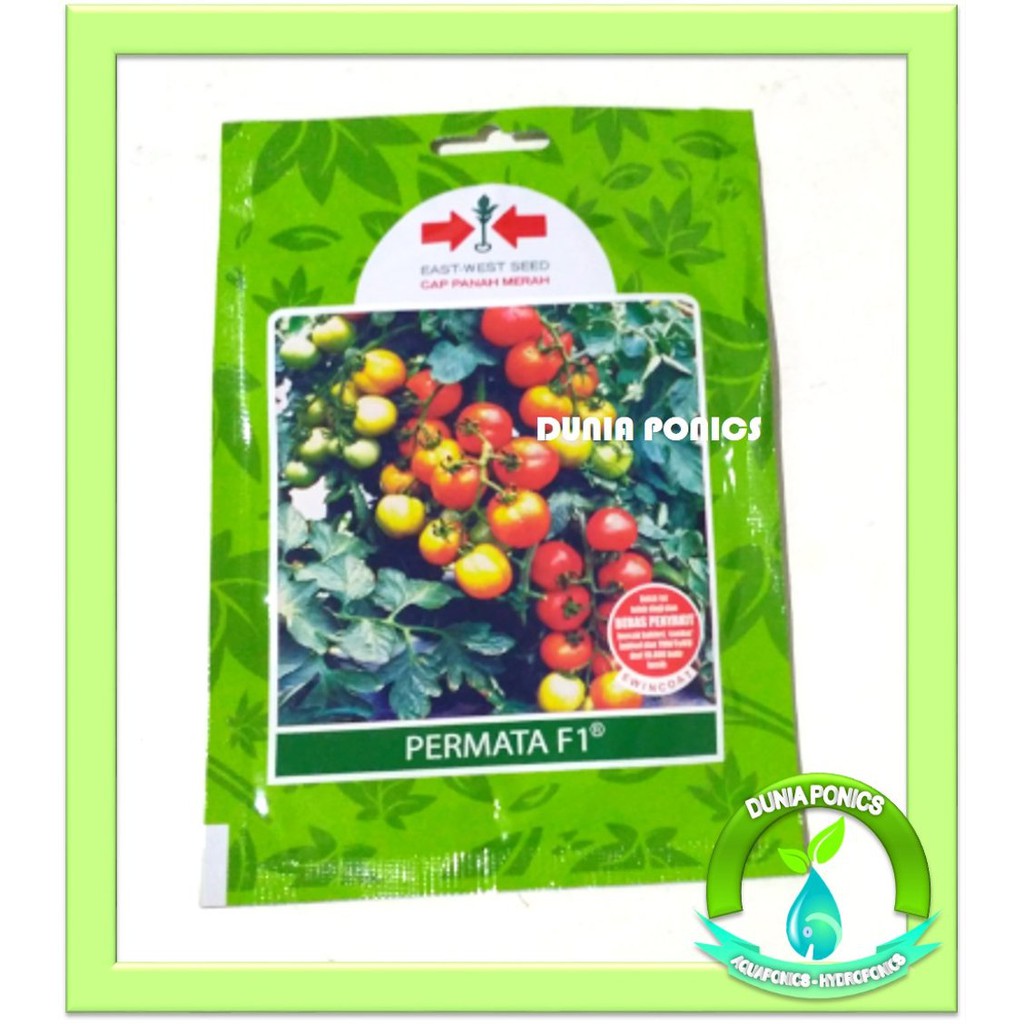 Benih Tomat PERMATA F1 Panah Merah Kemasan Pouch Pack 150 Benih
