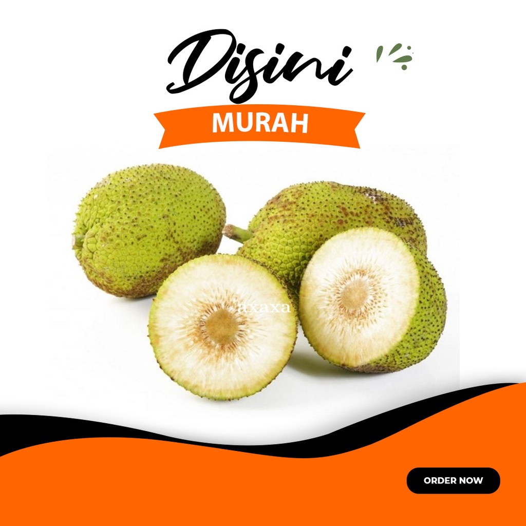 

buah sukun per buah berat ±800 s/d 1000gr