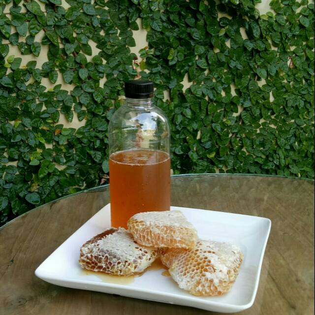 

madu sarang Dinara 500gr tidak makan gula dari lebah Apis Cerana lebah lokal