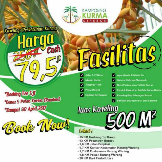 Kavling kebun kurma