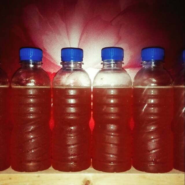

Madu hutan murni