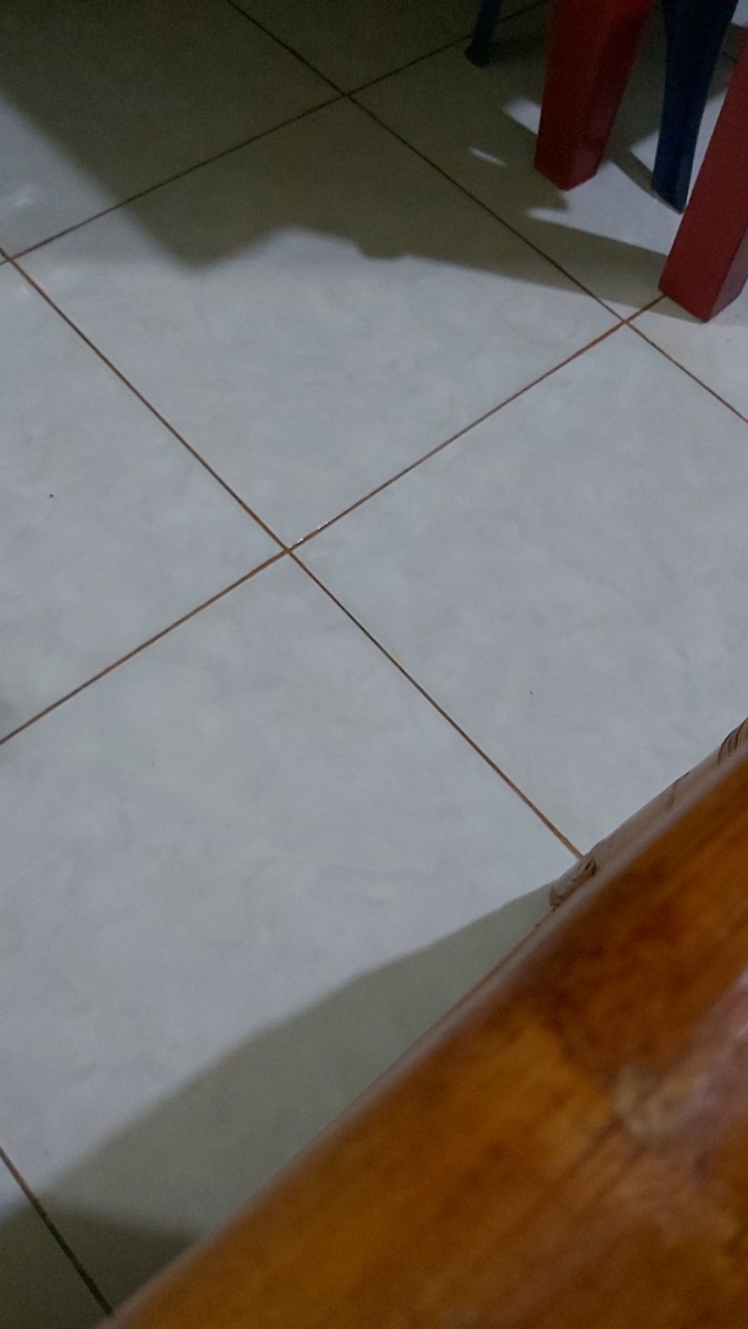 E261 Pisau Plastik Pemotong Adonan Kue Peralatan Dapur Masak