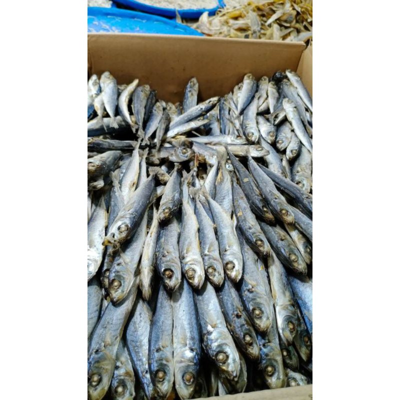 

Ikan Asin Rebus/Kembung Rebus 500gram Asli dari Medan