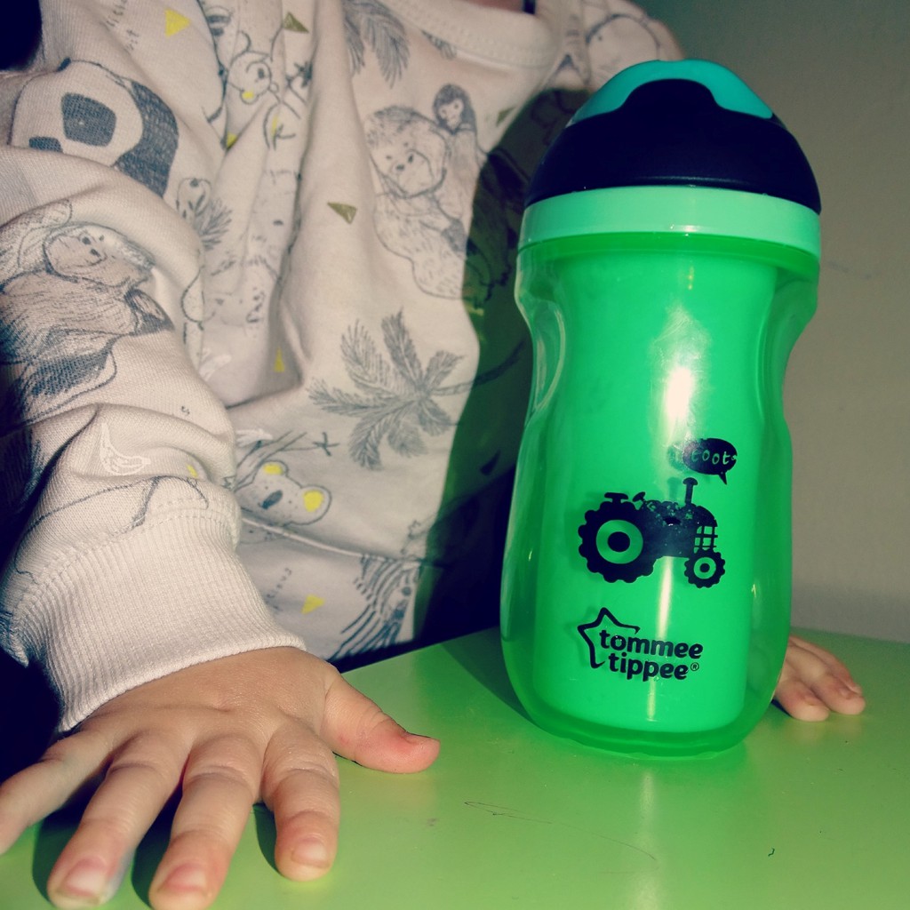 Tommee Tippee Sippee Cup Insulated 12m+