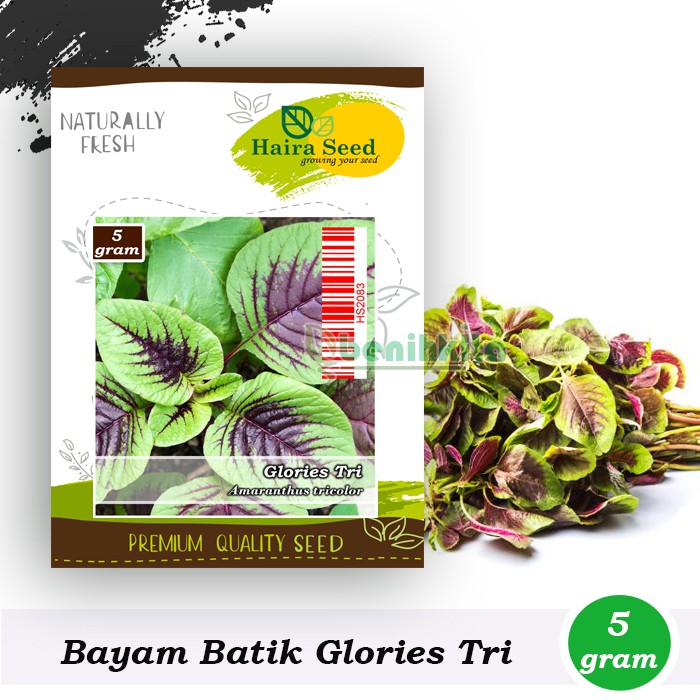 Benih-Bibit Bayam Batik Glories Tri (Haira Seed)