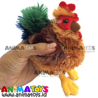 6400 Gambar Hewan Ayam Jago HD Terbaik