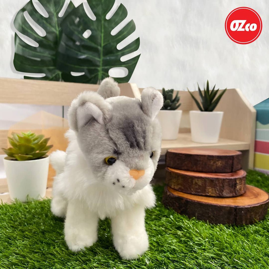 Boneka Hewan Anak Kucing Maine Coon Kitten Original OZco SOZ101