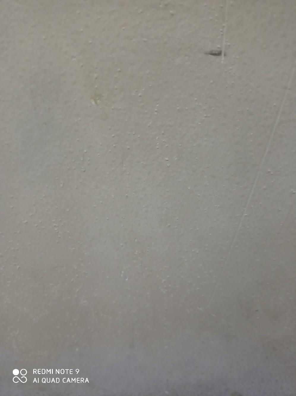 Desinfektan Poinsetta Avoda Ultimate