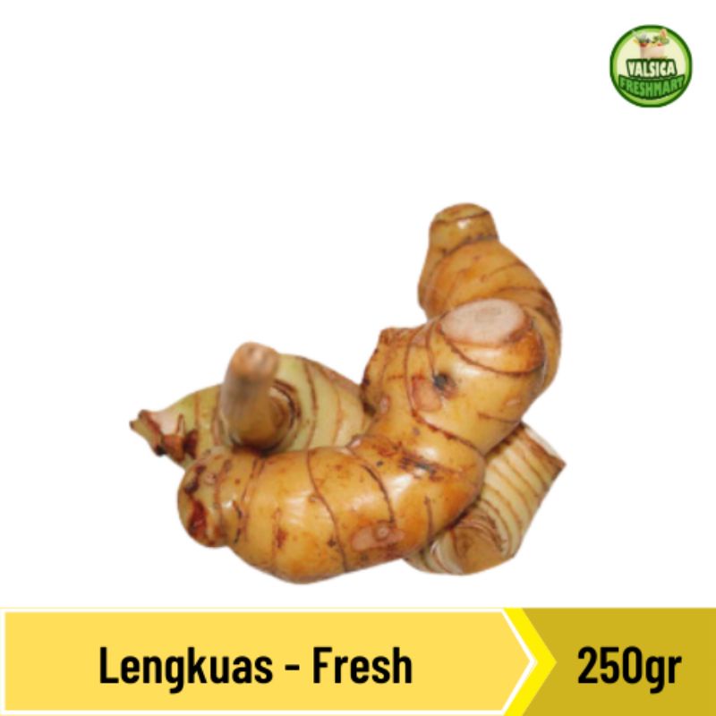 

lengkuas segar - 250gr