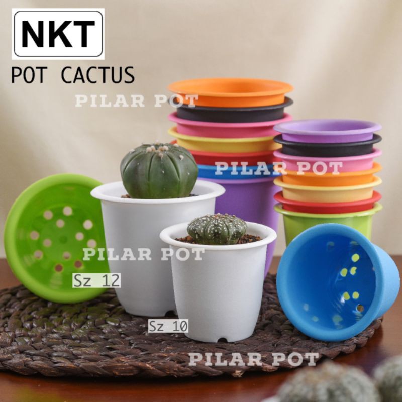 Pot bunga tanaman warna warni CACTUS 12 cm - nkt cactus 12