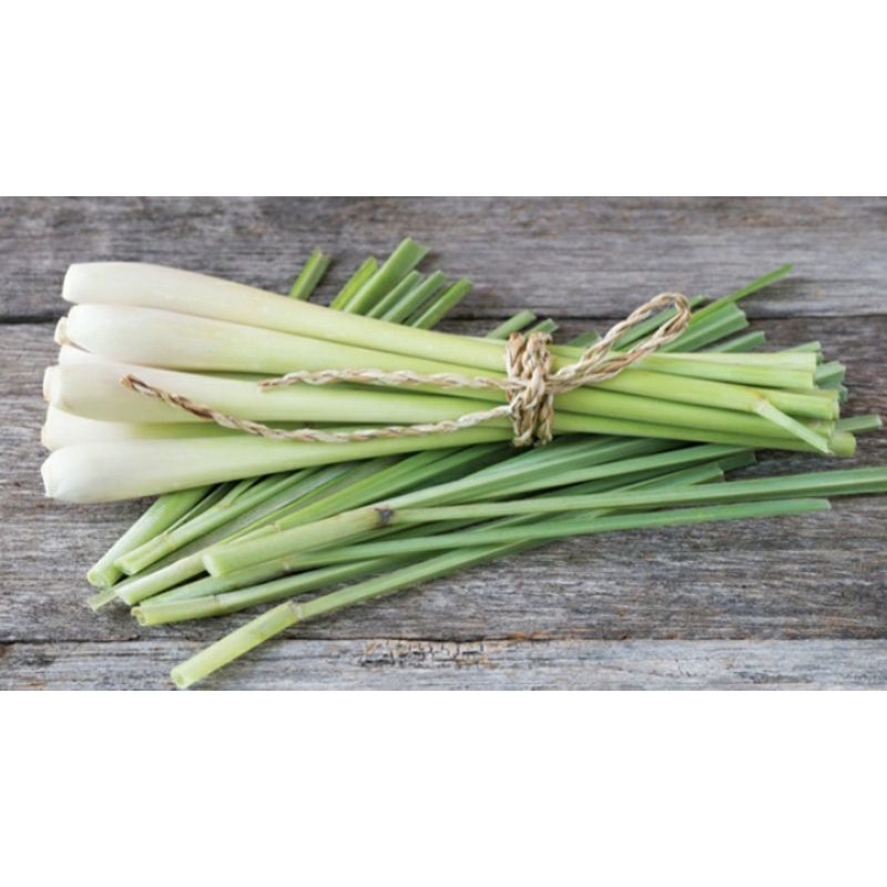 

D.cfn - Sere Segar/ Sereh Segar 1000gr/1kg