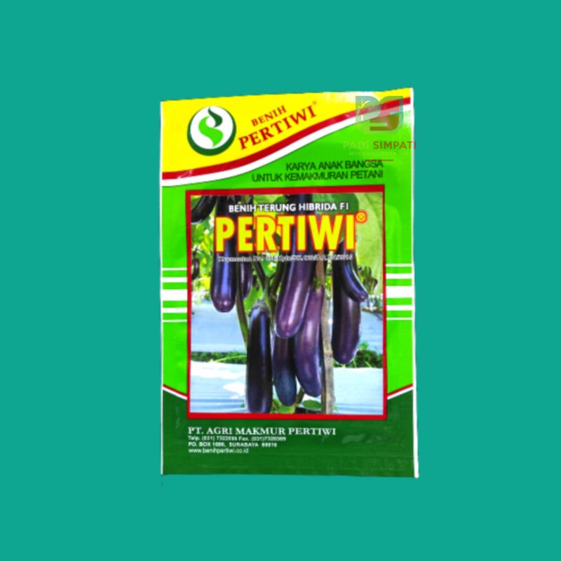 BENIH / BIBIT TERONG UNGU PERTIWI