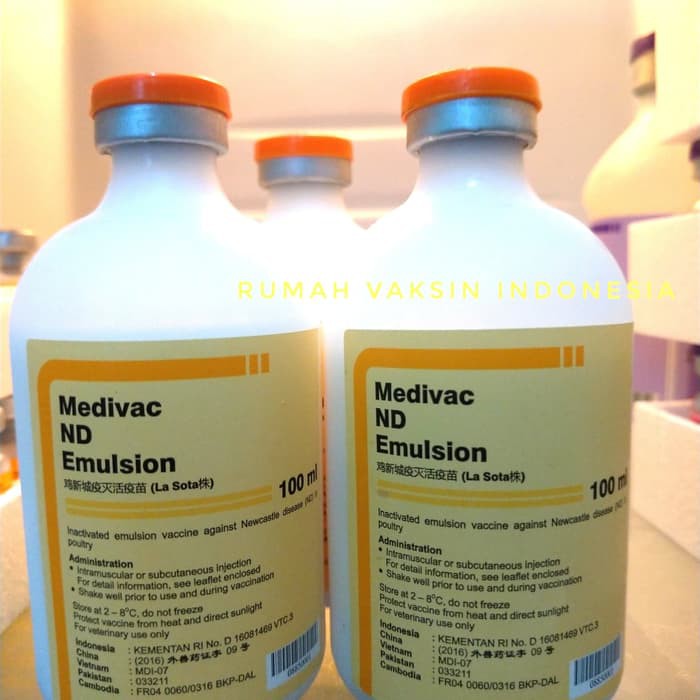 Vaksinasi Vaksin Ayam ND Emulsion Pencegahan Tetelo Ayam 100ml