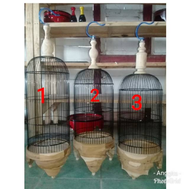 Harga Sangkar Pleci Terbaik Perawatan Hewan Hobi Koleksi