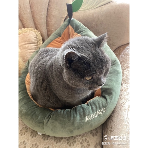 Avocado Bed Matrass Ranjang Lucu  for Cat Dog Pet