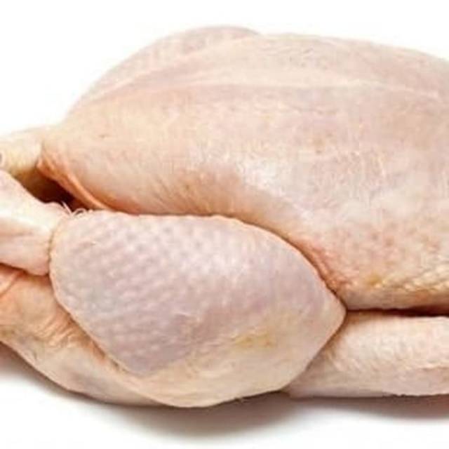 

Daging Ayam Segar -+ 1000gr