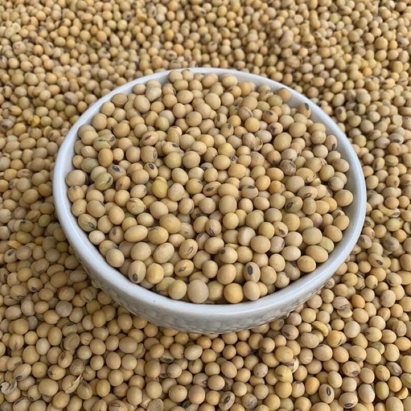 

PASAR ONLINE MURAH - KACANG KEDELAI 500GR