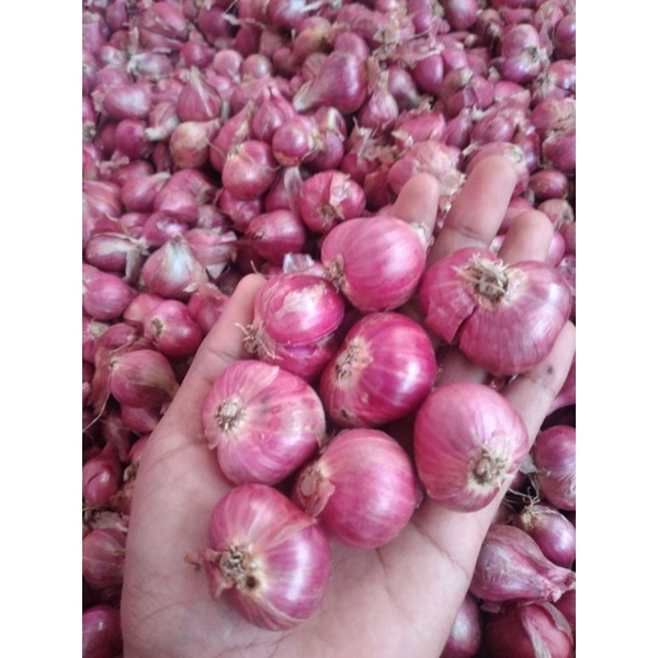

Bawang merah
