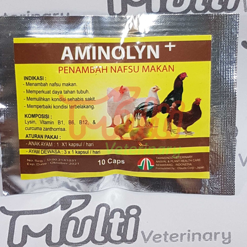 Vitamin Ayam Bangkok Agar Cepat Gemuk