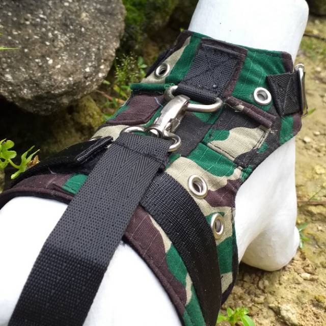 Baju musang dan otter dijogja