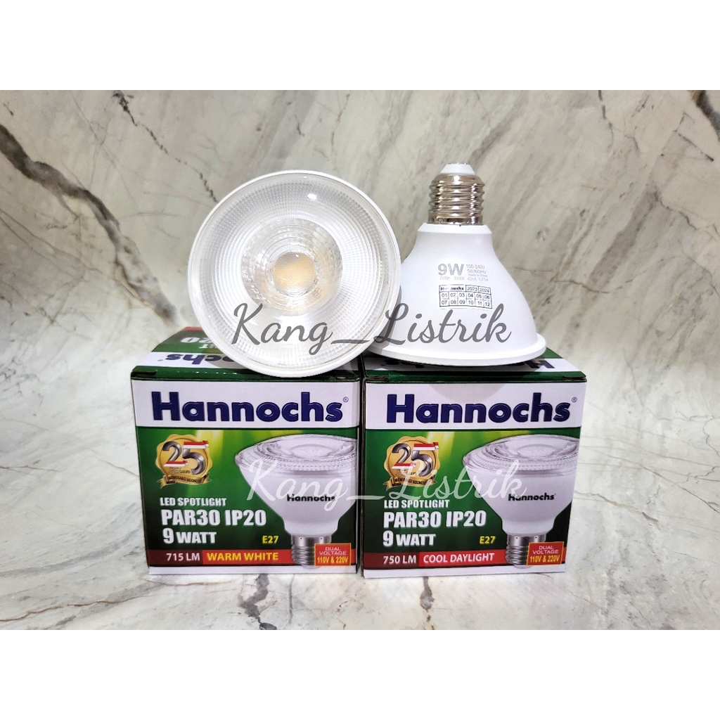 Lampu LED Spotlight Hannochs PAR 30 9 watt