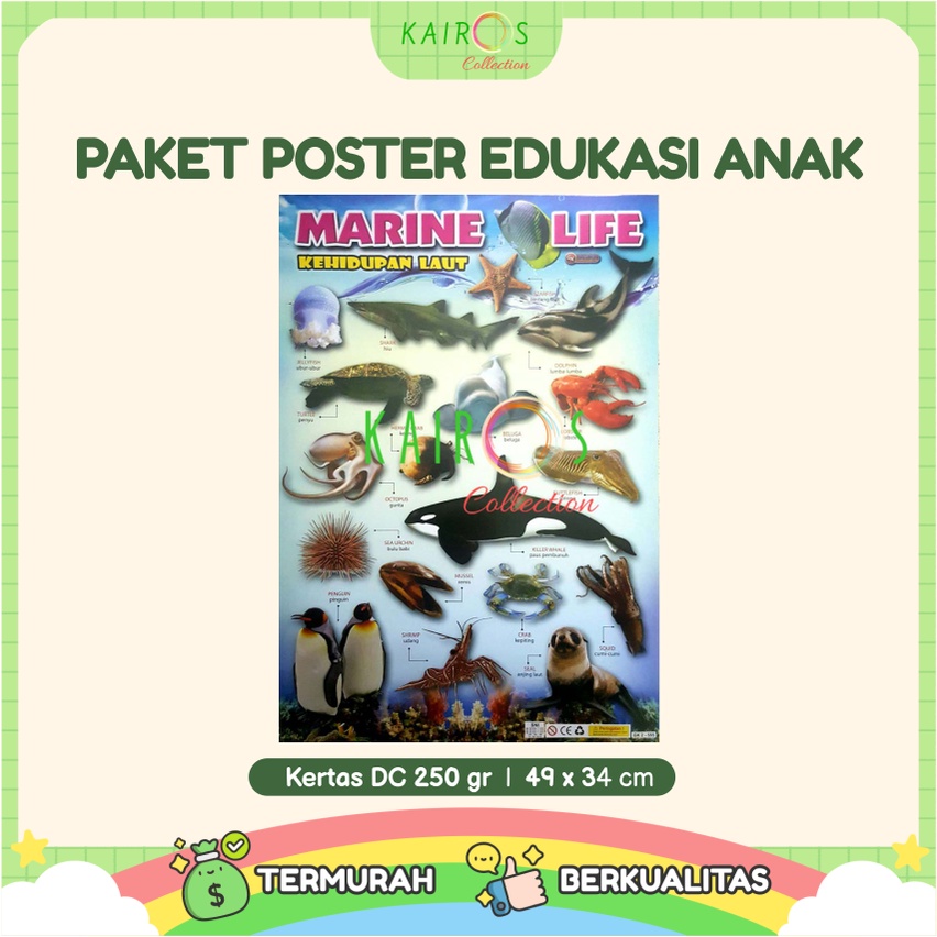 Paket 10 Pcs Poster Edukasi Anak Belajar Huruf Hijaiyah, Hewan, Buah, Transportasi, Huruf, Angka