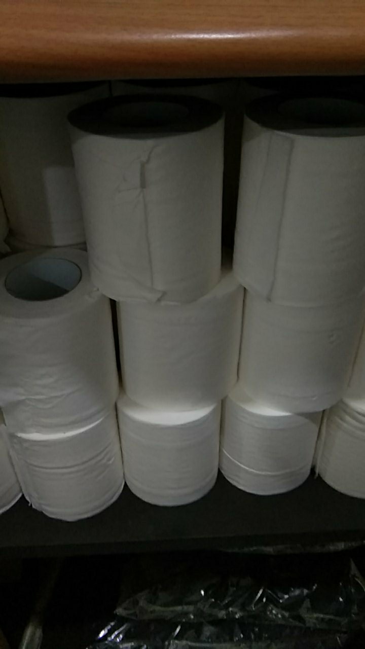 Tissue Gulung / Livi Evo Smartdue Toilet Roll 205s (karton)
