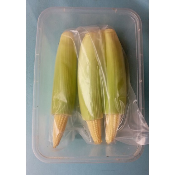 

Jagung Baby