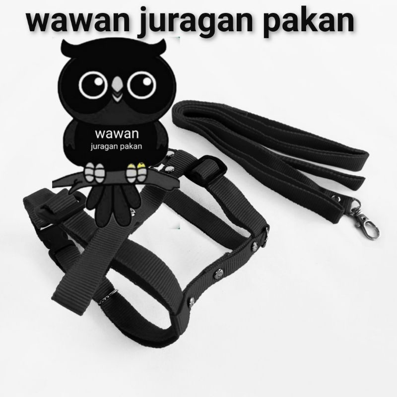 TALI TUNTUN KUCING, HARNESS