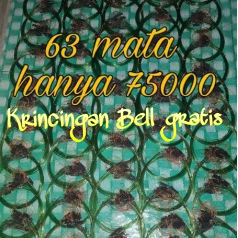 Jerat ruak ruak / racik gantung