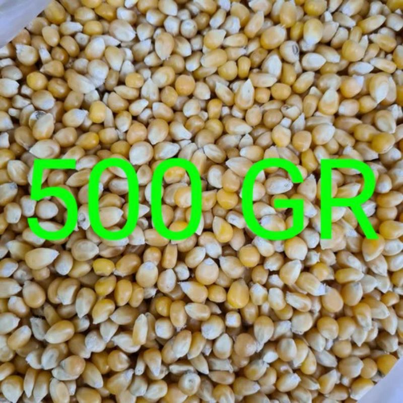 

Jagung Popcorn Super 500 Gram / Yellow Gourmet Pop Corn Kemasan Non GMO