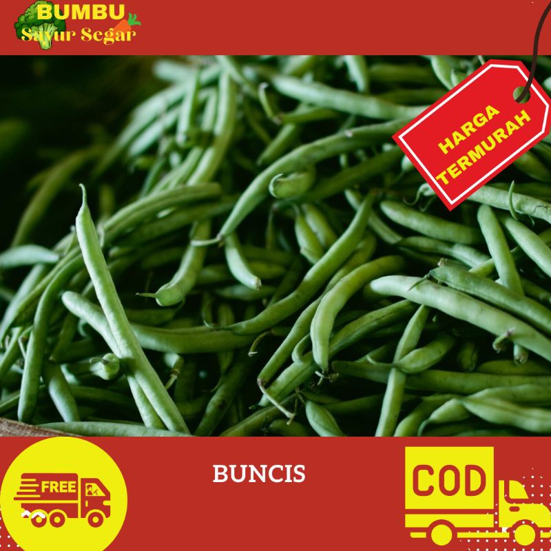 

BUNCIS SEGAR 250gr