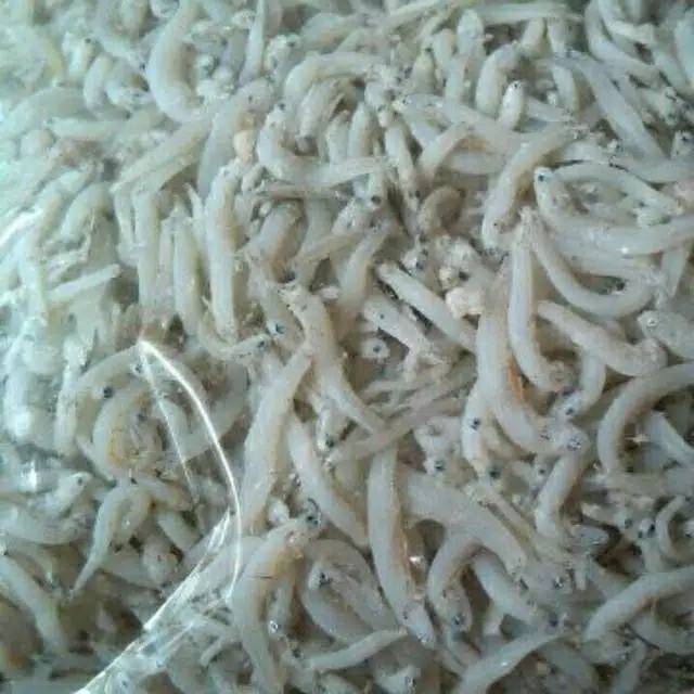 

Teri Medan / Teri Nasi. PREMIUM