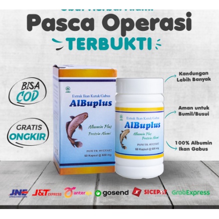 Albuplus | kapsul albumin ekstrak ikan kutuk gabus 60 kapsul ASLI