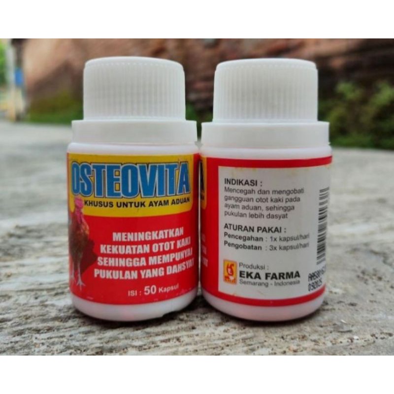 1 BTOL OSTEOVITA 50 KAPSUL OBAT VITAMIN AYAM ADUAN KUAT OTOT TULANG KEKAR BESAR PUKUL DAHSYAT eka farma