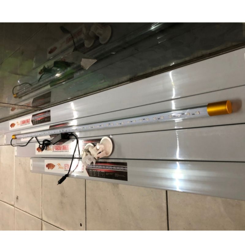 YANG lampu LED Arowana 92 t8 -Merah