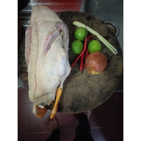 

Bebek Hybrida/Daging Bebek 1,2KG