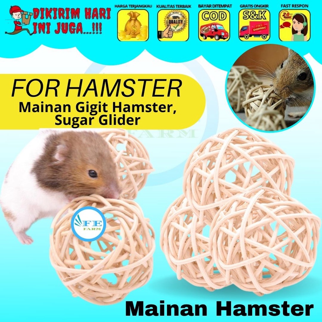 Bola Rotan Mini Gnawing Hamster Mainan Hamster Gigitan Hamster FEFARM