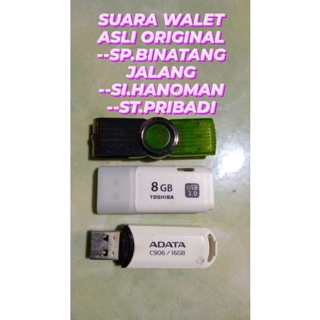 suara walet asli original