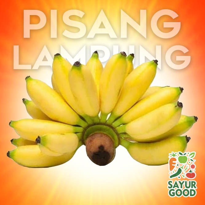 

Pisang Lampung / Buah Pisang Lampung Segar / Pisang Emas / 1 Sisir