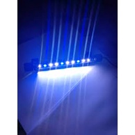 Lampu aquarium 30cm / Lampu led / Lampu celup / Lampu neon