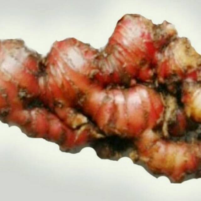 

jahe merah