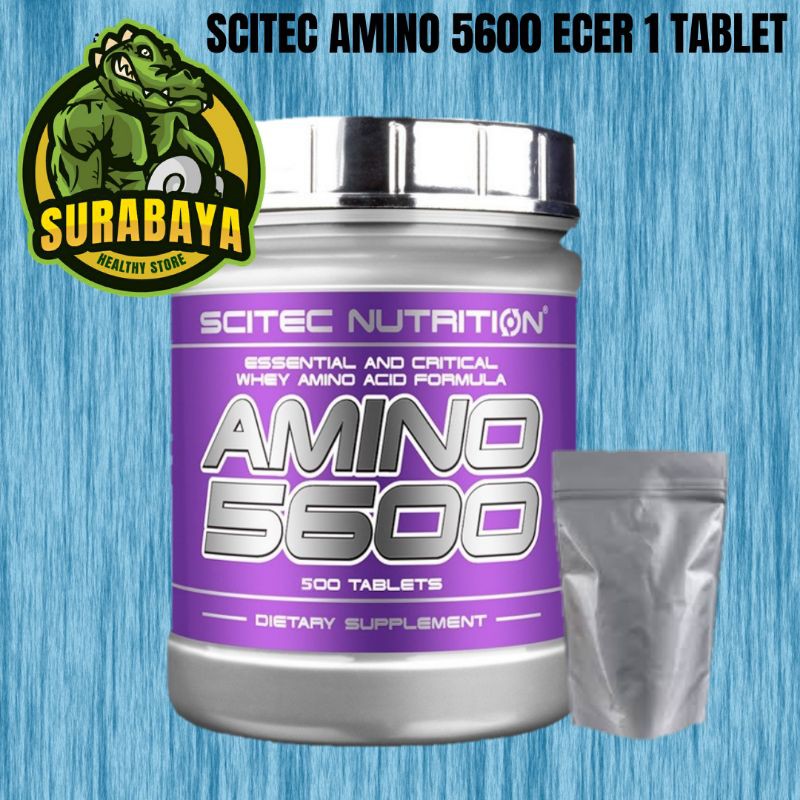 SCITEC NUTRITION AMINO 5600 ECER 1 TABLET TRIAL SIZE WHEY PROTEIN ISOLATE TABLET GYM MUSCLEMEDS CARNIVOR