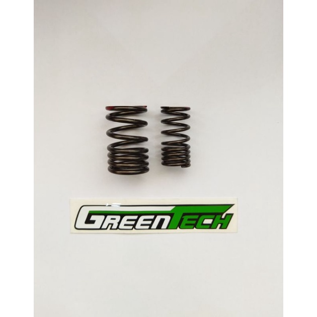 PER KLEP EX KX450 ORIGINAL KAWASAKI