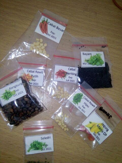 Isi 10 Biji- Benih Unggul Cabe/cabai Besar