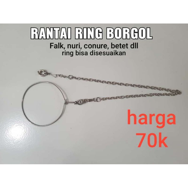 Ring rantai burung falk little conure dll