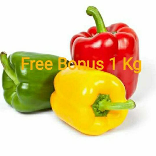 

Paprika Campur Hijau | Kuning | Merah uk 500gr + Gratis Bonus